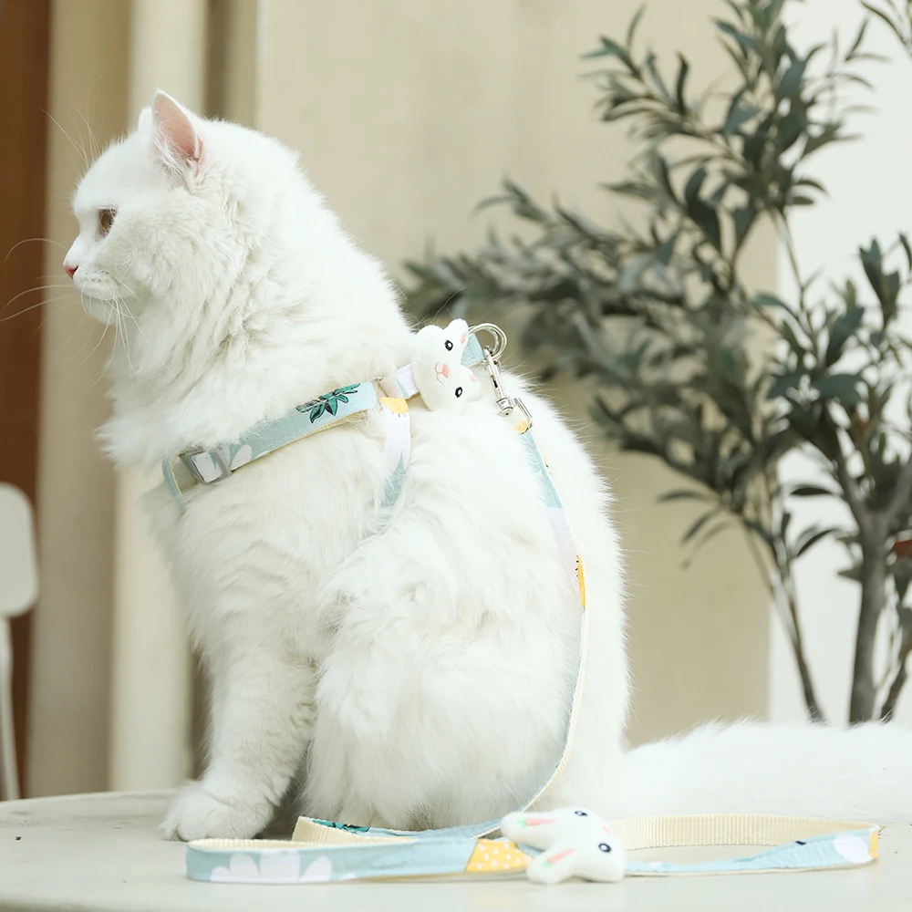 Factory Best Price Hoopet Comfortable Fit Escape-proof Small Dog Cat Chest Strap Harness And Leash Set