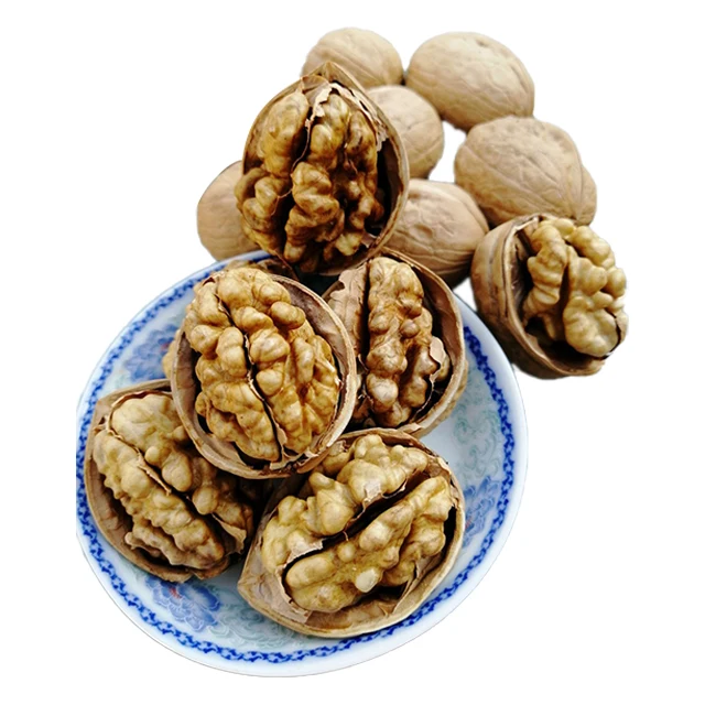 Factory supply lowest price plant walnut inshell xinjiang pecan nuts (1600494630275)