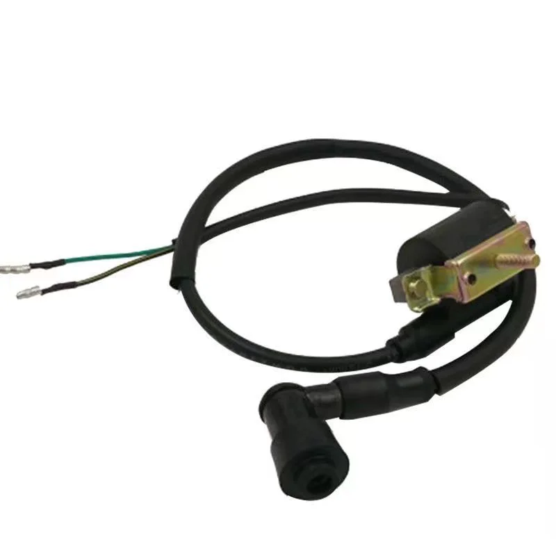 Manufacturers produce motorcycle high-quality igniter rectifier high-voltage package.