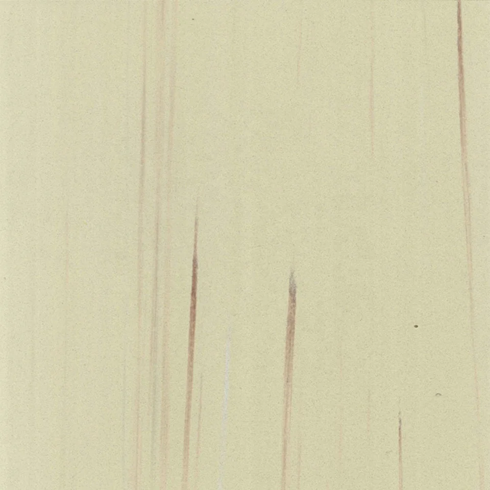 Felt Back Anti-Slip Vinyl Floor Sheet Roll Waterproof Linoleum Flooring Rolls PVC Vinyl Linoleum Felt PVC Flooring Mats