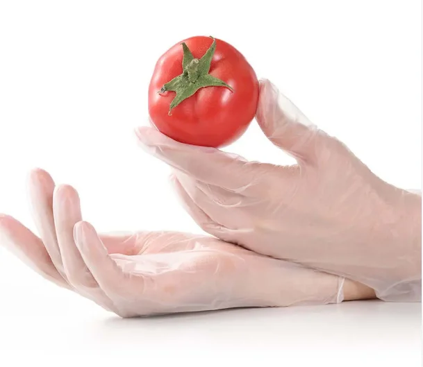 Disposable Vinyl/PVC Glove