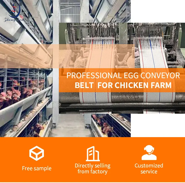 Wholesale Chicken Eggs Conveying Belt for Animal and Poultry Husbandry Equipment