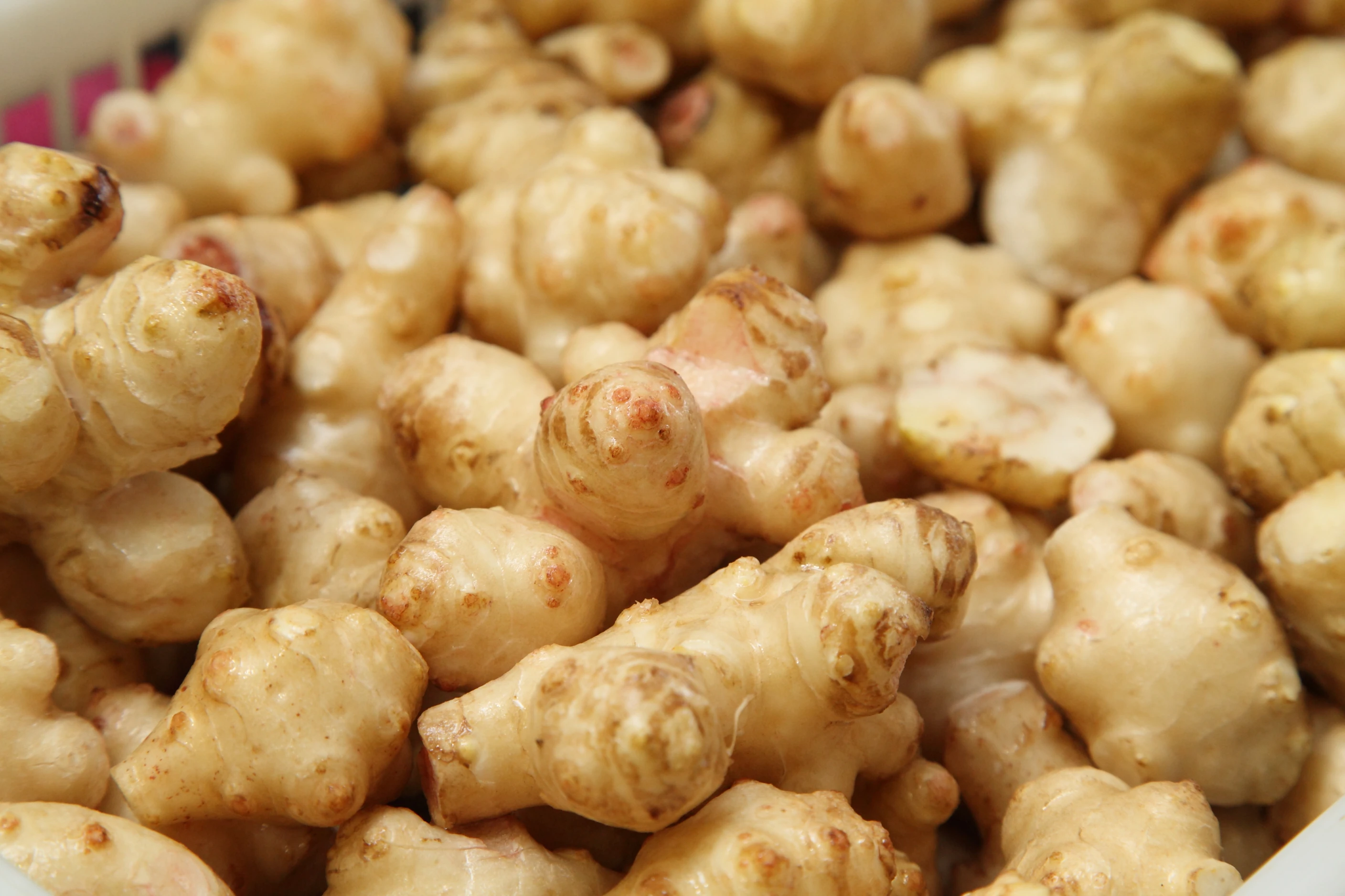 
250mg golden Jerusalem artichoke lower organic bulk inulin diabetes blood 