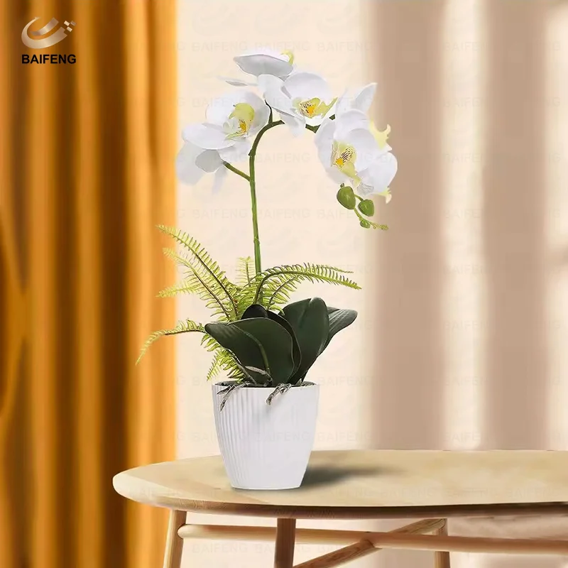 Factory direct selling real touch plastic orchids artificial flowers artificial orchid with pot