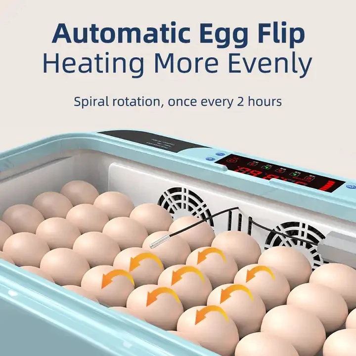 12 eggs capacity Dual Power Supply Automatic Chicken Egg Incubator For Hatching Eggs (12/15/24/36/64 Capacity)