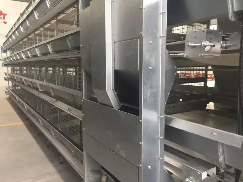 Hot  Production Automatic Poultry Farm Cage for Layer\/hen\/egg Chicken