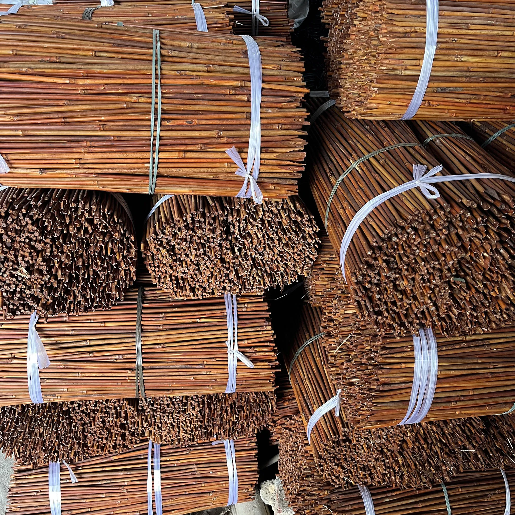 Bamboo poles wholesale Eco-Friendly Color Dyed Tonkin bamboo Raw Materials Stakes for Orchid