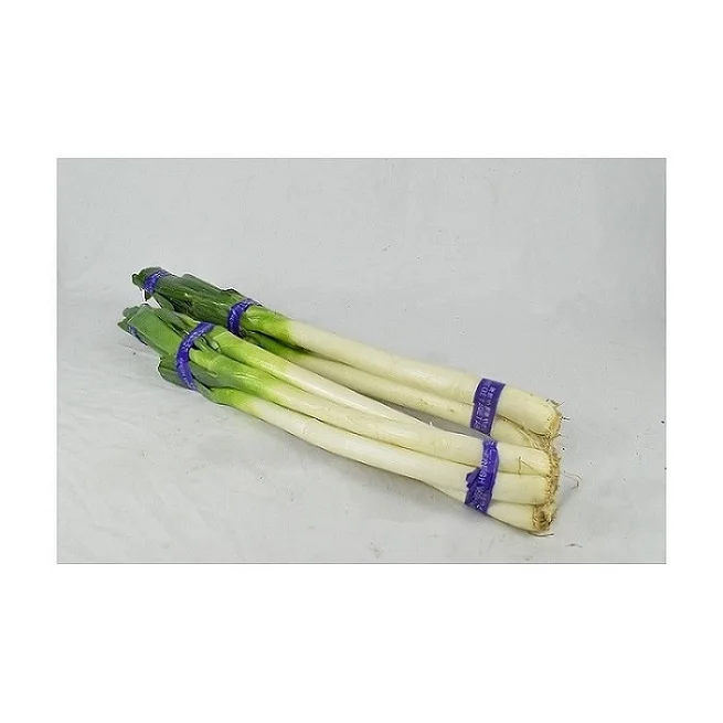 
Quality Fresh Wholesale Onion Vegetable Manufacturer And Export Green Onion 