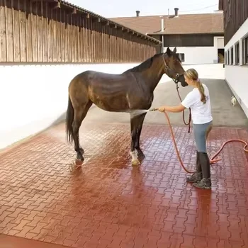 Recycled Rubber powder Tiles Making Machine with best price