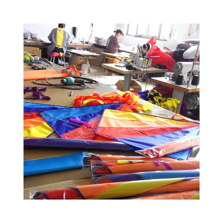 2021 cheap kite outdoor animals children triangular flying toy gift Goldfish Kite