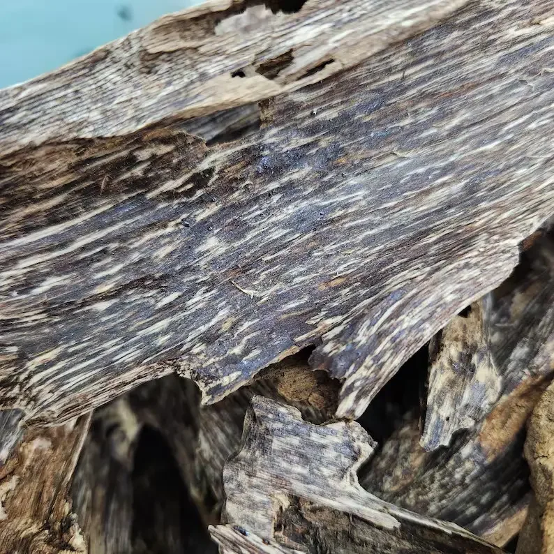 Agarwood Chips Type Aromatic Wood Phuc Linh Giac II Bulk Wholesale Sachets from Viet Nam and China