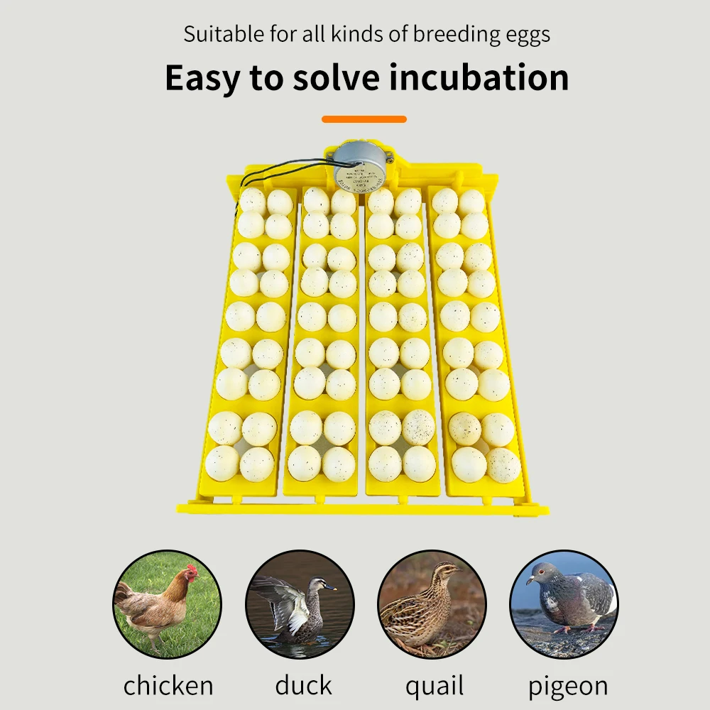 Wholesale 16 Chicken Eggs Quail Bird Goose Pigeon Duck Parrot Farm Poultry with Motor Automatic Egg Incubators