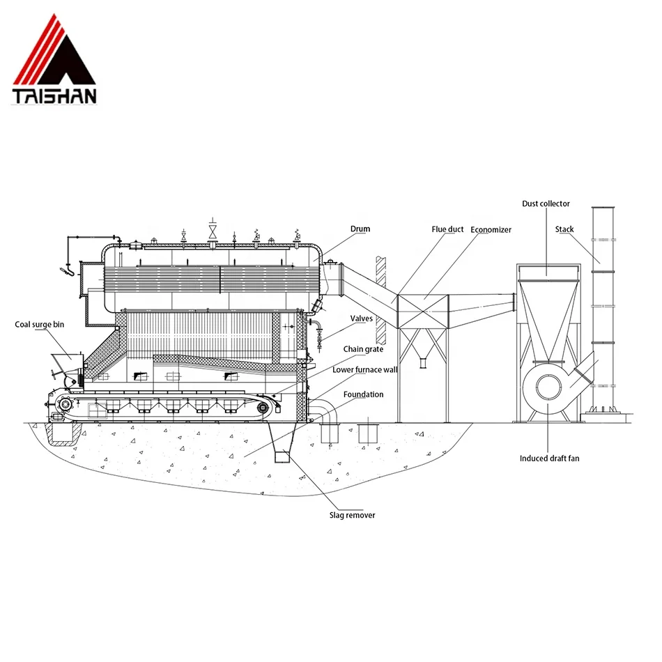 DZL Coal-Fired Steam Chain Grate Boiler with PED Certification for Beverage Factories