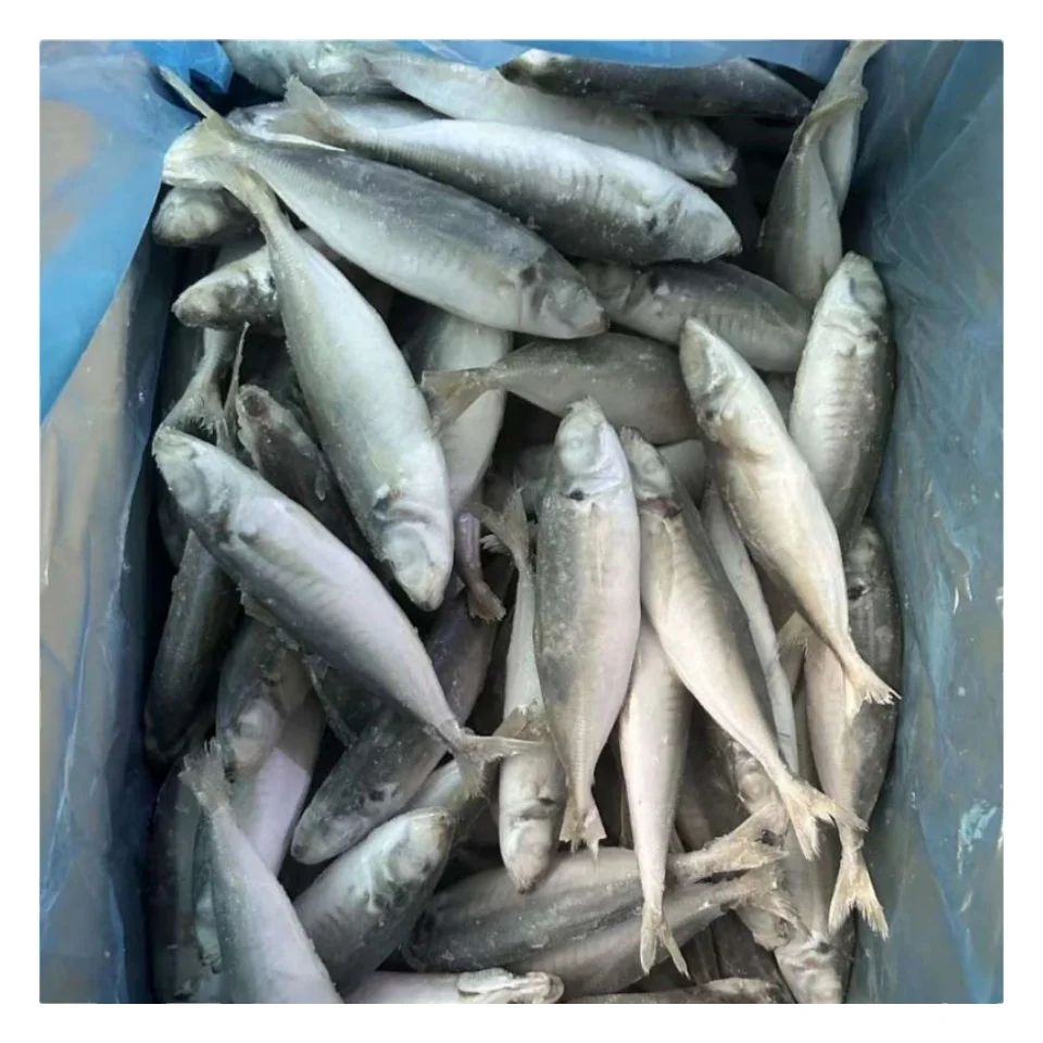 Ready stock Fresh Fish Seafood Frozen Seafood Round Scad