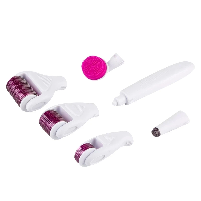 
Home Use Ce Certified Buy Stainless Titanium Microneedle DRS Dermaroller Skin Care Hair Face 6 in 1 Derma Roller Kit 