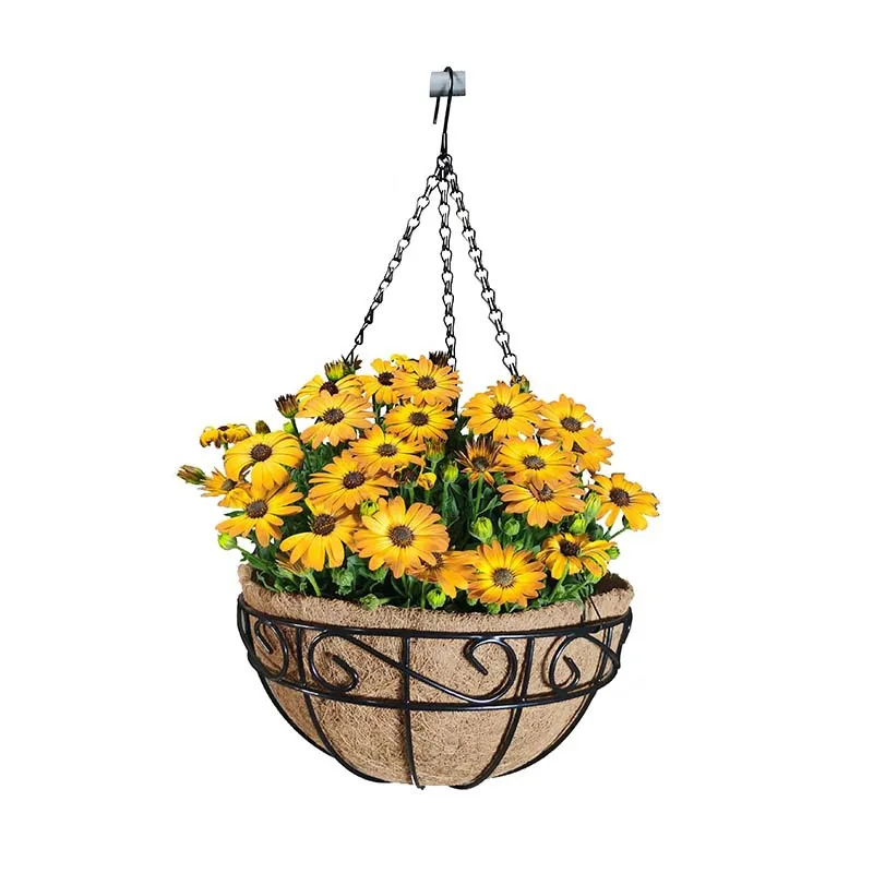 8-16 inch  Hanging Flower Basket Cocoanut Hanging Basket Iron Wall Hanging Cocoanut Flower Basket