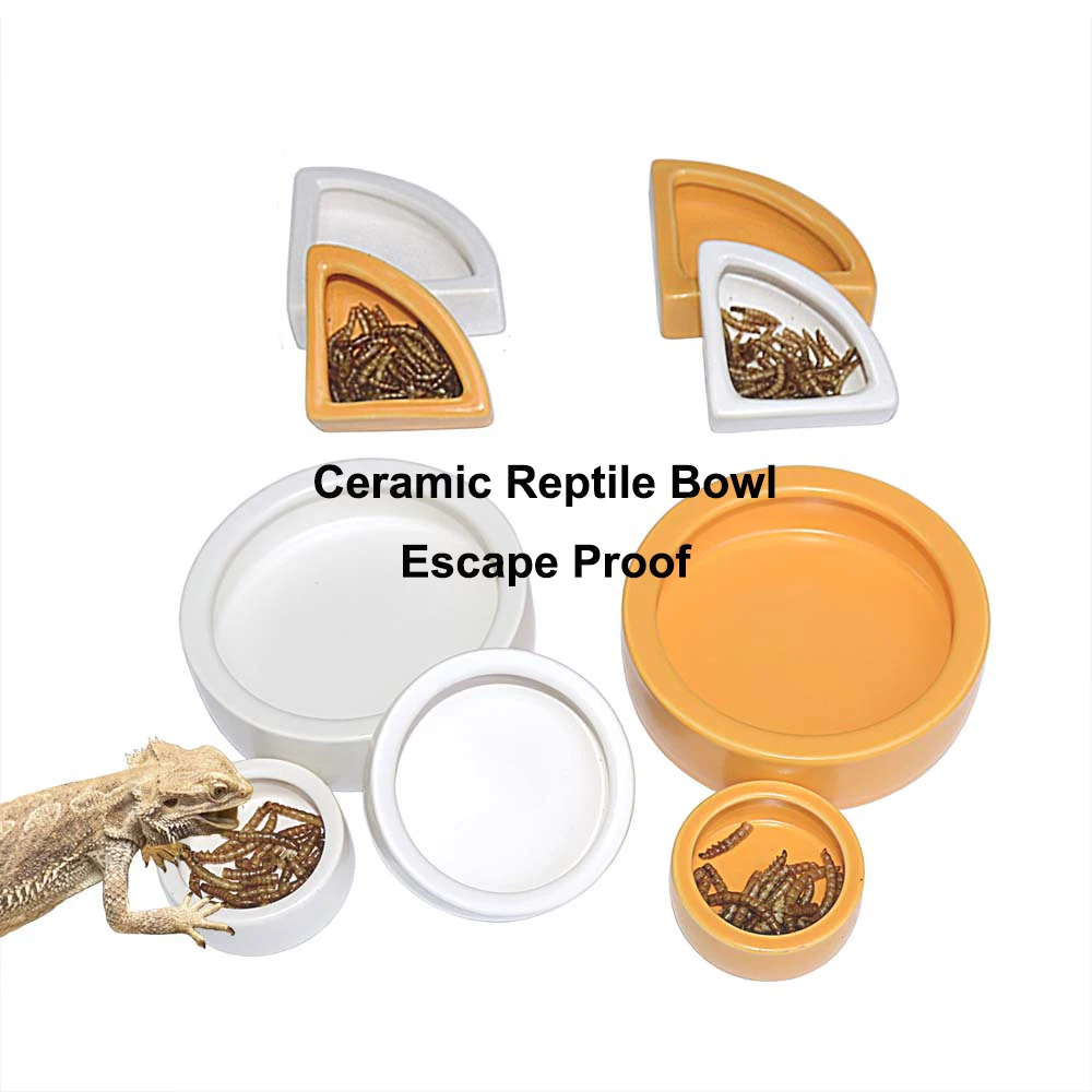 Small Plastic Pet Feeding Bowl Decor Lizard Gecko Terrarium Feeder Tortoise Water Dish Frog Feeding Dish Reptile Feeding Bowl
