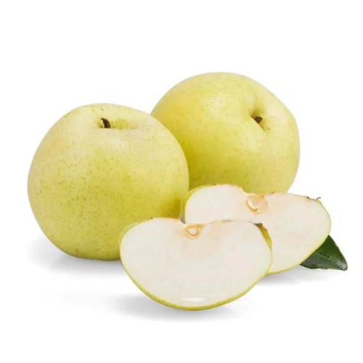 
best selling fresh pears good quality new crop 