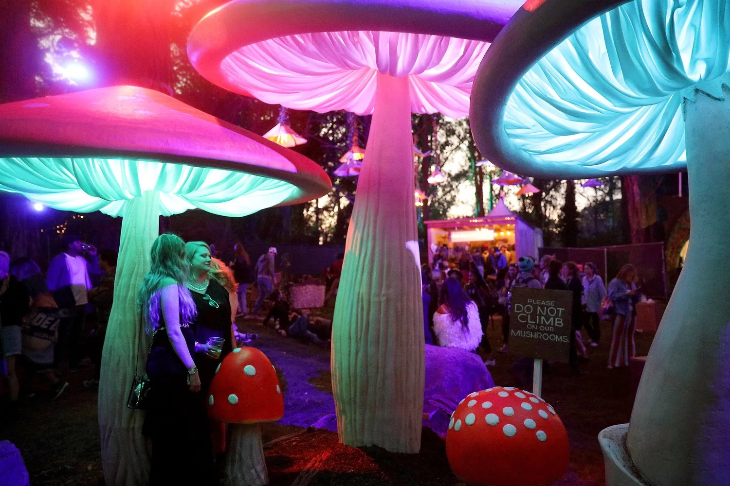 IP65 RGB 12V Mushroom Shape Landscape Lights Festival Decorative Lights Holiday Decoration Lights