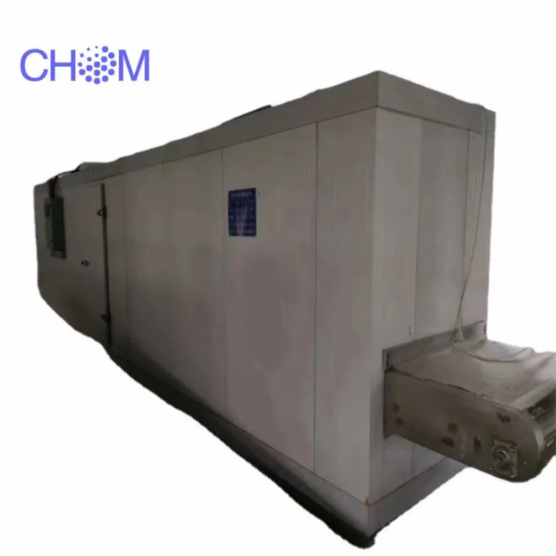 Tunnel type liquid nitrogen freezer for quick freezing of fruits, vegetables, seafood