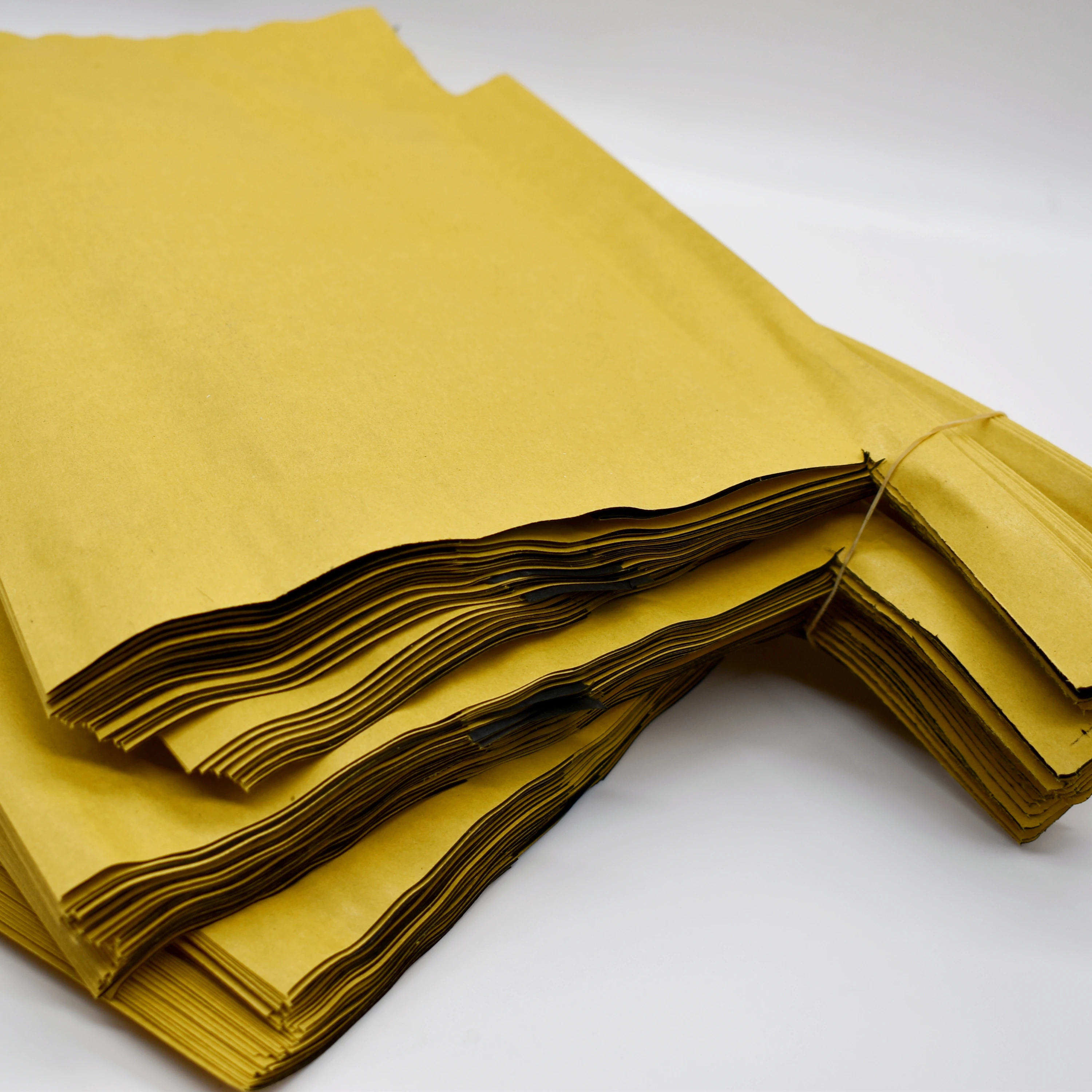 Bio-degradable Fruit Paper Bag Supplier For Grow Bag on the tree