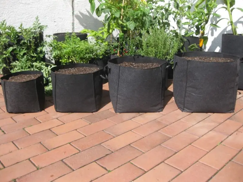 3 gallon terrace garden biodegradable mushroom/vegetable/flower/plant black aeration flat nylon non-woven fabric pots grow bags