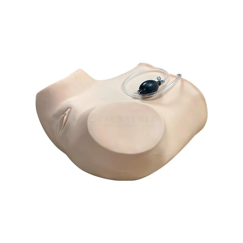 Sunnymed SY-N003 женские материнской для медицинской учебной модели гинекологического