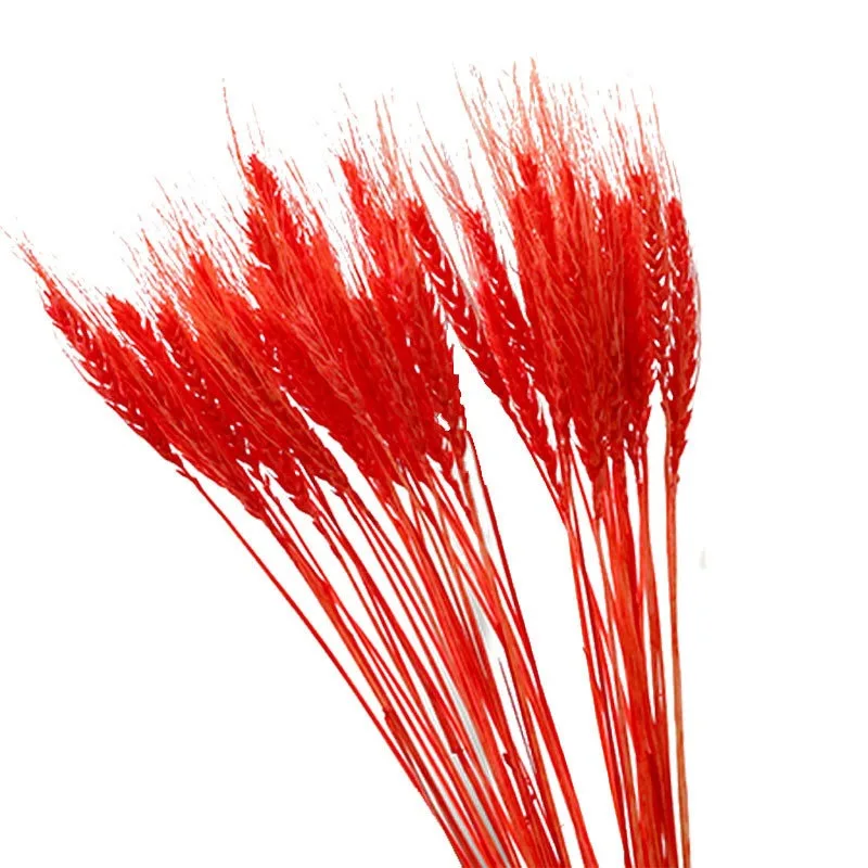 AYOYO OEM Best selling Dried wheat for home/wedding/park/school/party decoration colorful wheat wheat