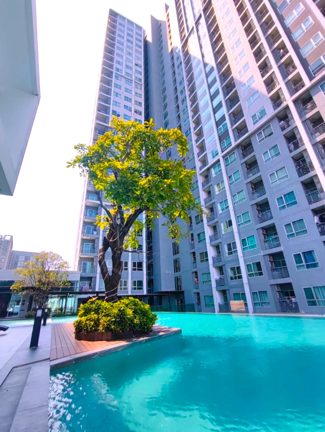 Properties For Sale Condominium 1 Bedroom Property Land Real Estate CondominiumIn Thailand Property Land Real Estate