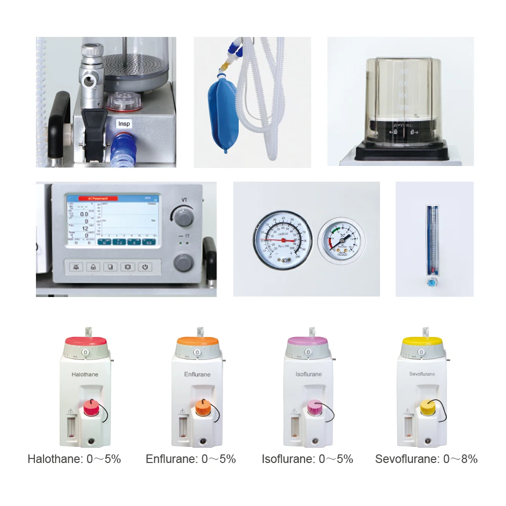 Veterinary Anesthesia System Direct Selling DM6B Emergency Medicina Animal Veterinaria Instrument