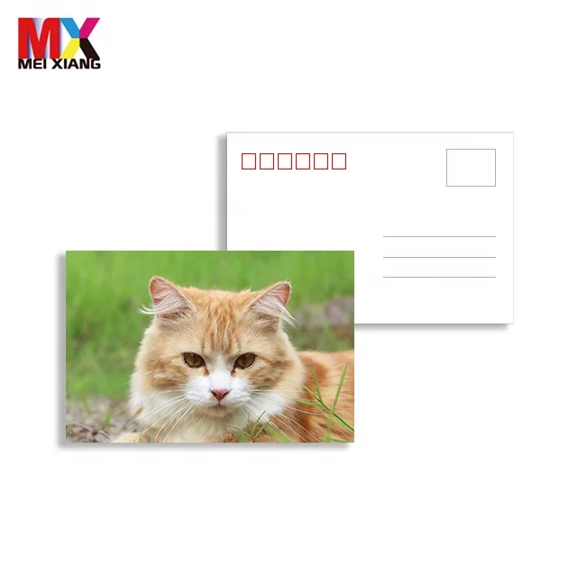 souvenir customize lenticular 3d 5d postcard 3d lenticular postcard with lovely animal