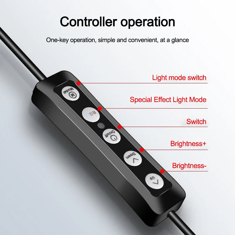 
10 Inch RGB Led Ring Light Stand Photography Studio Cosmetic Selfie Lamp Ring Light with Tripods 