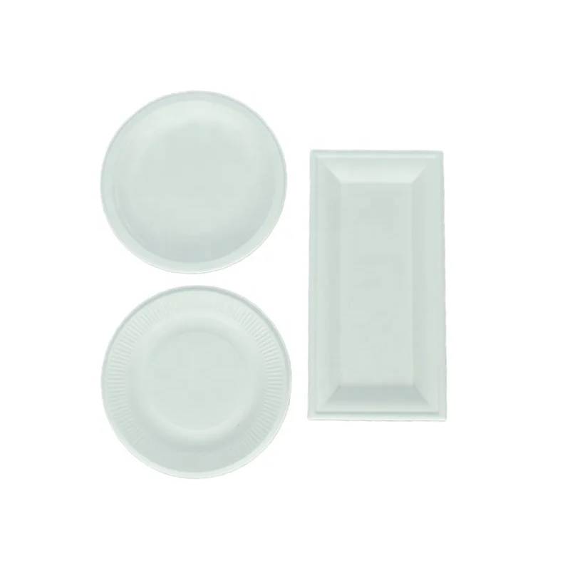 Disposable Eco-friendly 100% biodegradable Raw Material for Buffet New Year Party Sturdy Paper Plate