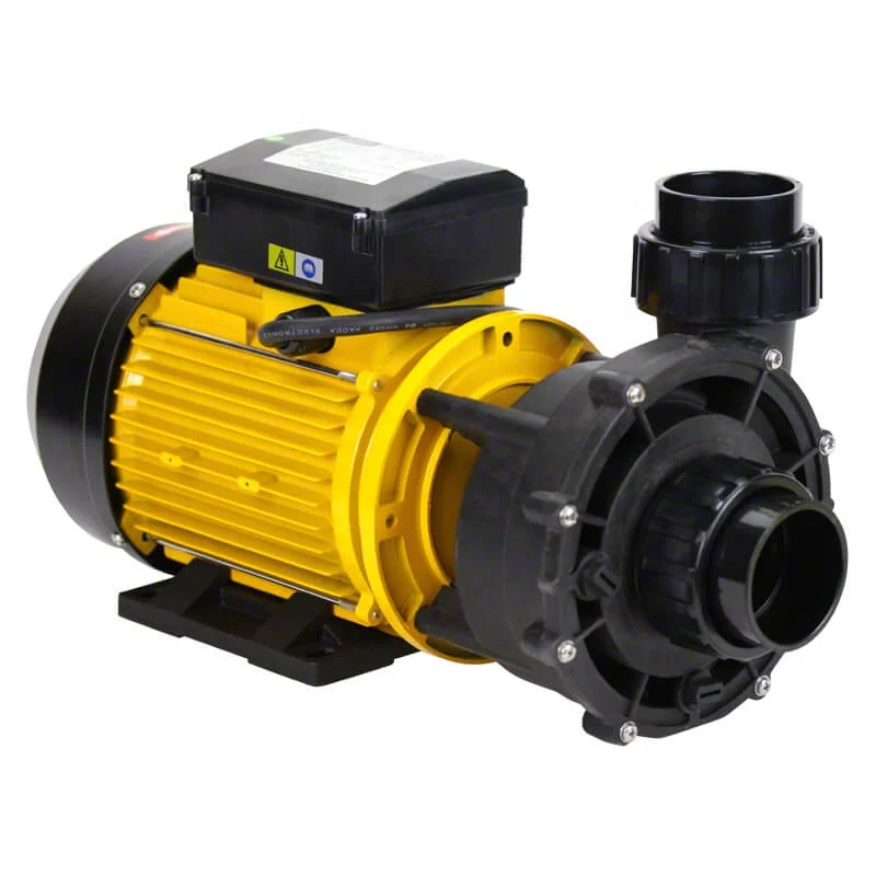 0.75KW  220V Water Pumps Aquaculture European hydro massage bath pump LX TDA-100