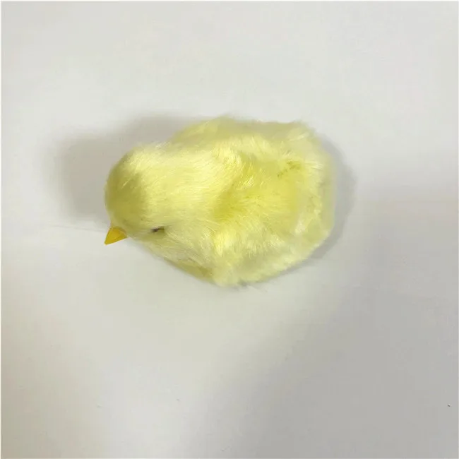 High Quality Fertile Chicken Hatching Eggs