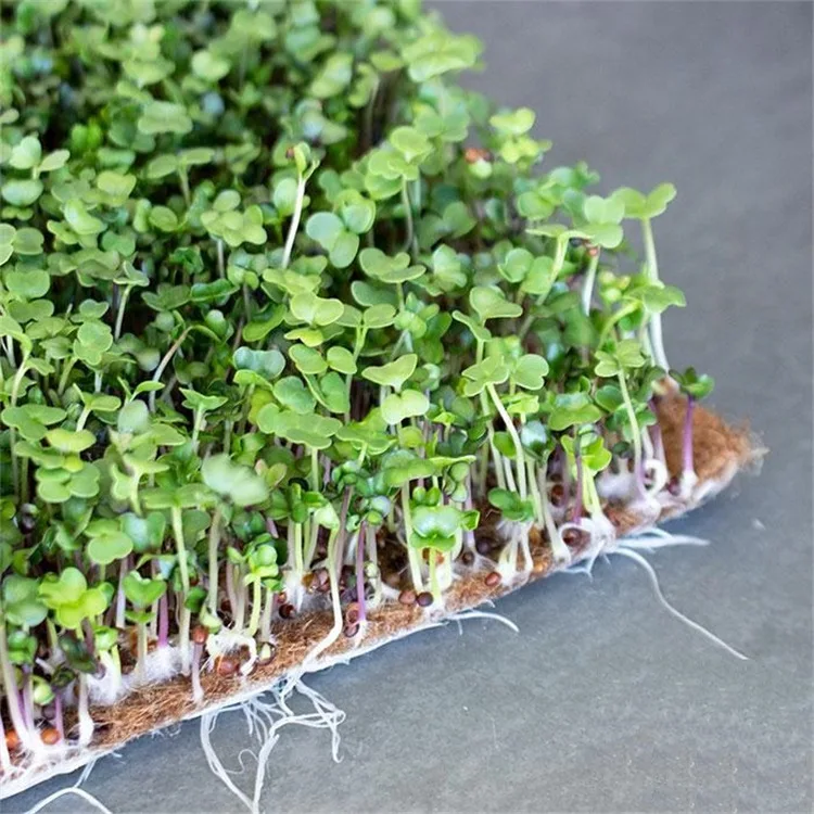 microgreen hydroponic jute grow pads jute plant repotting mat for micro greens jute aquatic plant fiber mat for indoor farming