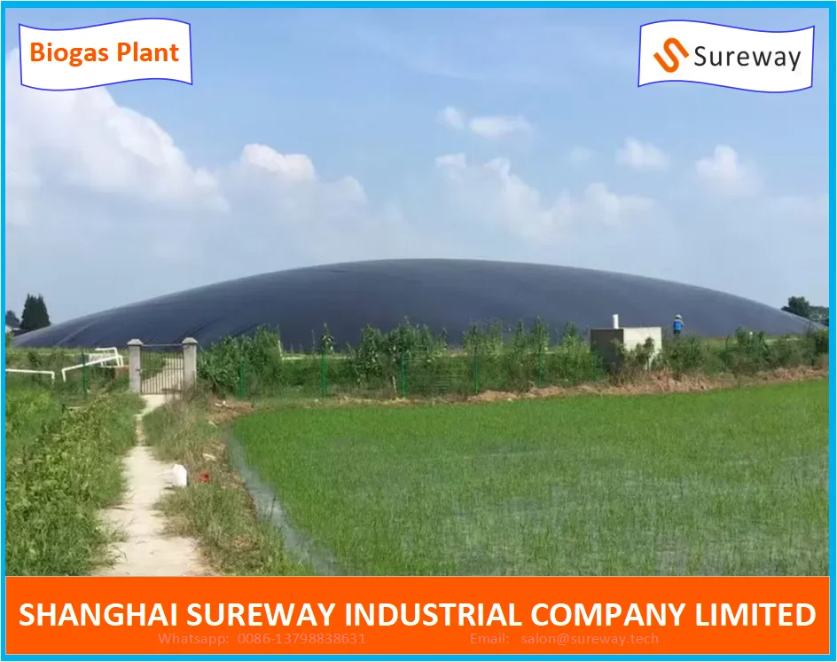 HDPE Geomembrane Lagoon Animal Waste Biogas Digester Plant