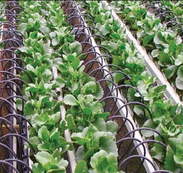 Factory Price 2/4 Ways Split Irrigation Straight PC Drip Stake Bend Arrow Dripper With 50cm Length Tube