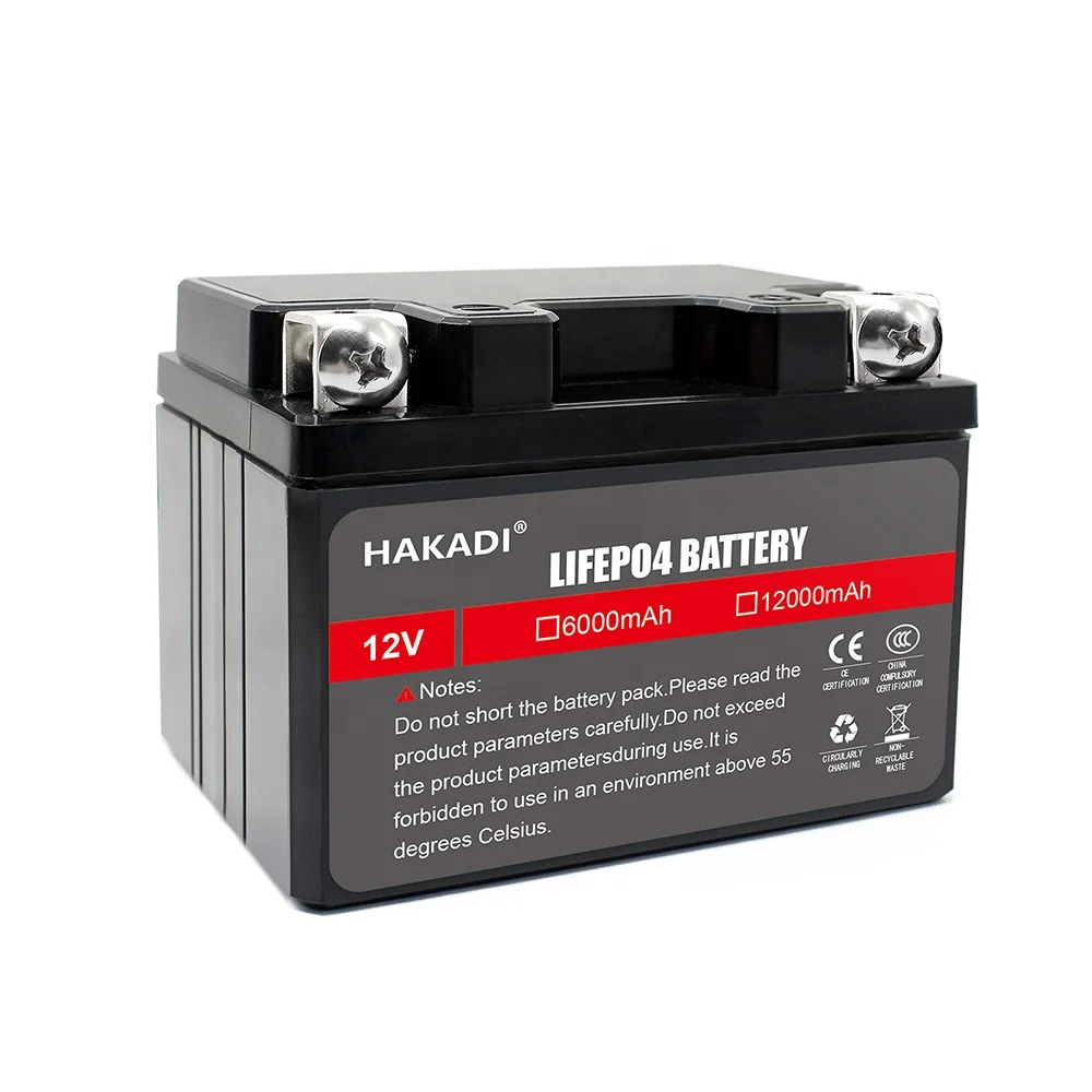 Lifepo4 Battery Pack 12v 6ah 12ah 18ah 24ah Rechargeable Lithium With Charger Accept
