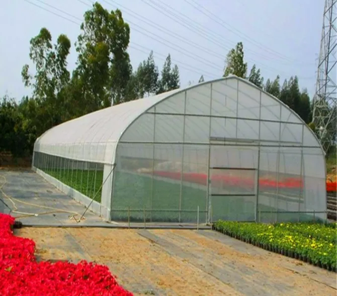 
Single Span Low Cost Tunnel PE Film Greenhouse For Flowers 