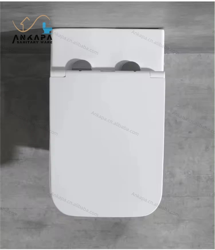Modern Design Sanitary Ware Bathroom One Piece Toilets White Ceramic Wall Hung Toilet for Hotel