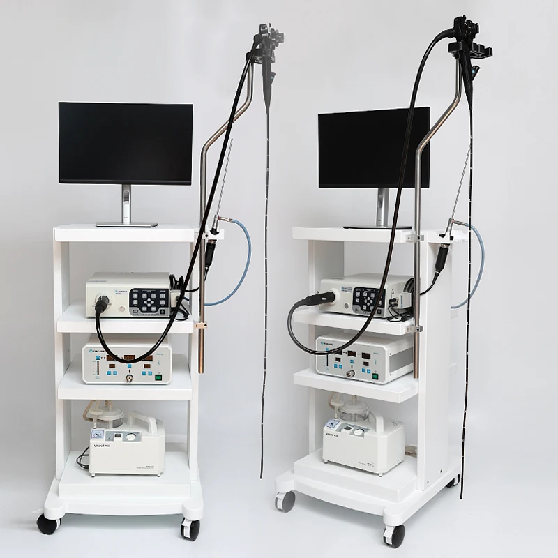 Veterinary Gastro-colonoscope operative endoscope gastro intestinal set