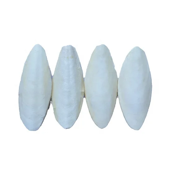 From VIETNAM Manufacturer Birds Food a Grade 2021 (whatsapp/viber/wechat: ) High QUALITY CUTTLEFISH Bone / CUTTLEBONE for BIRD