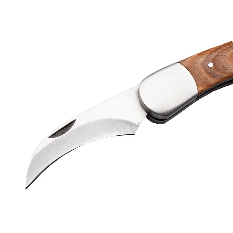 WELLFLYER BO-384 S2 Stainless steel mushroom knife pocket knife picnic knife camping tools with wooden handle and brush