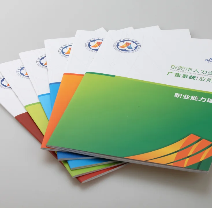 Custom  printing Booklet catalog leaflet A4 brochure/ booklet printing Flyers for Brochure Printing