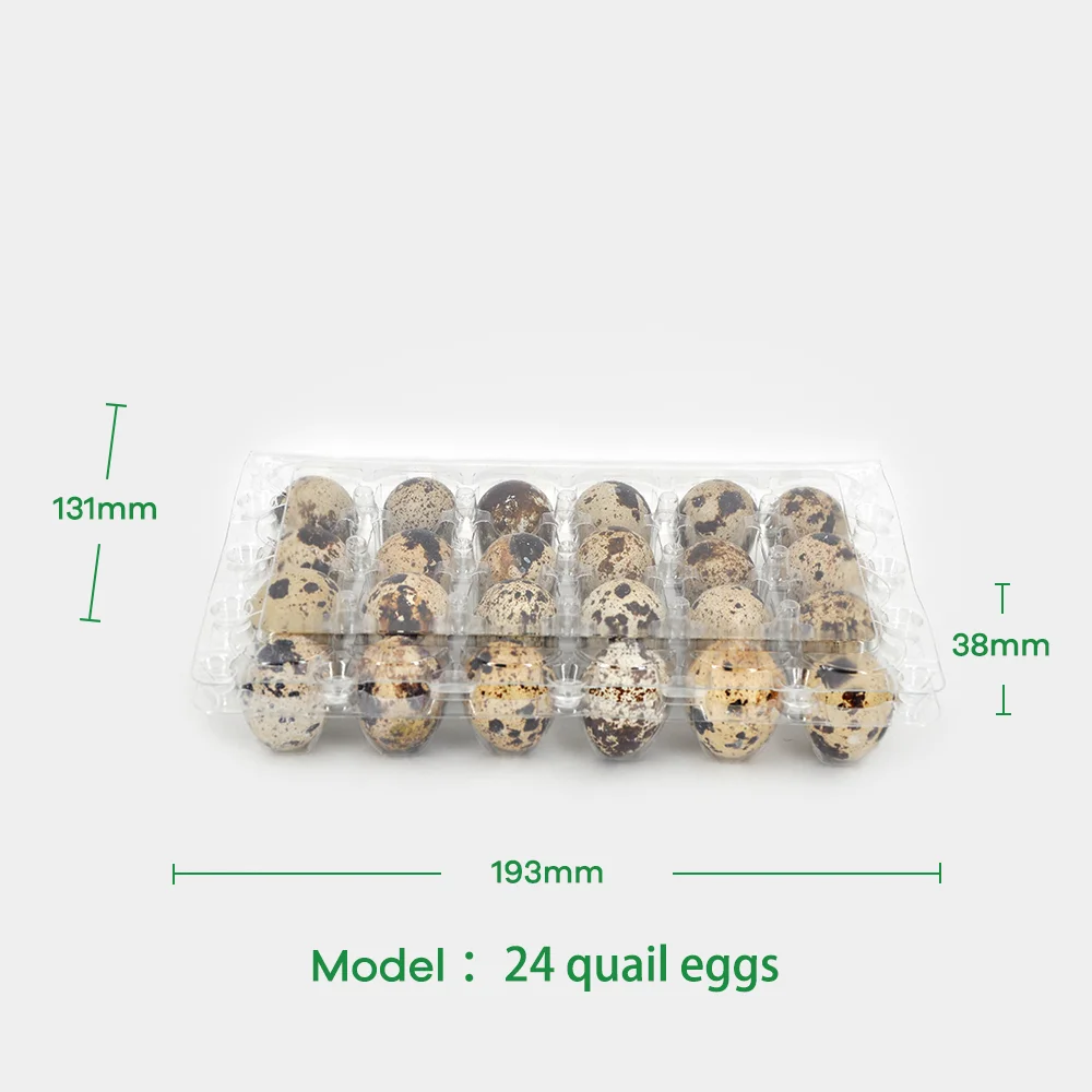Eco-friendly Recyclable Quail Egg Tray with 6 12 15 18 20 24 30 Cells for Home Use and Supermarket Retail