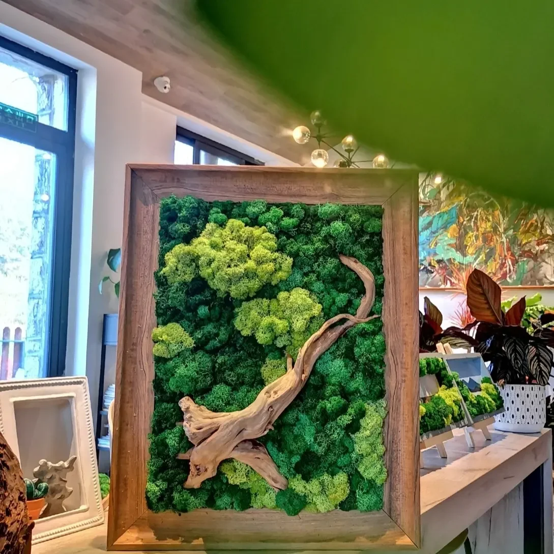 N-191 Wholesale natural preserved green fresh pole sheet moss ball decorative moss bun for Event Display Backdrop