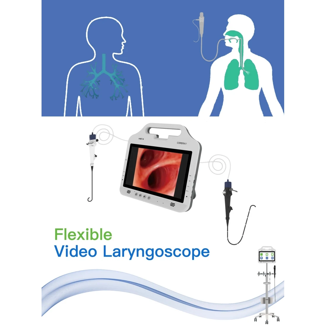 5 models Flexible Video  Bronchoscopy  with screen for diagnisis