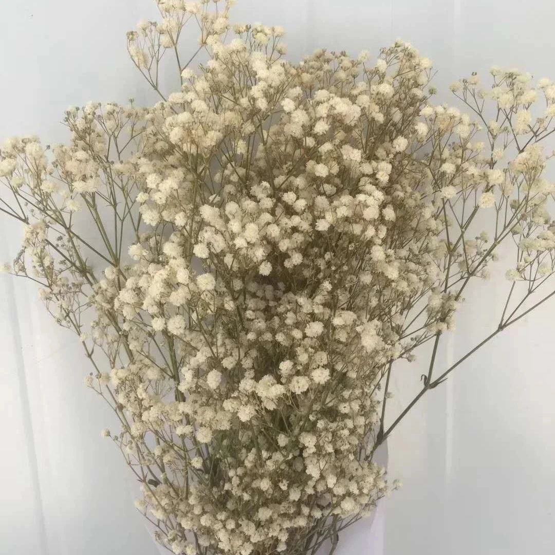 Искусственные