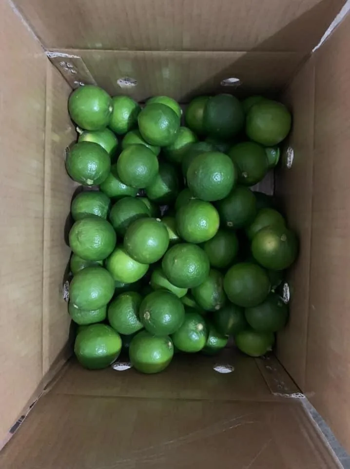TOP SELLER IN VIETNAM 2020 LIME/ FRESH LEMON/ FRESH SEEDLESS
